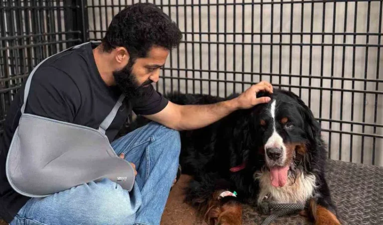 jr-ntr_V_jpg--816x480-4g