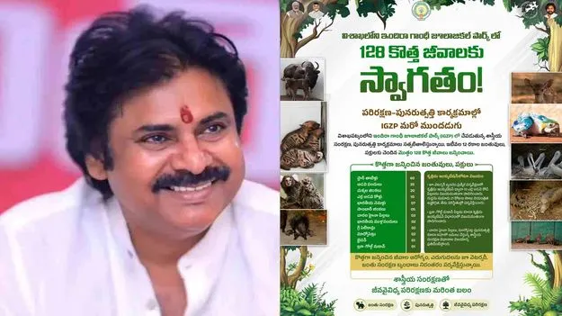 zoo_pawan_aa3b55a0c4_V_jpg--625x351-4g