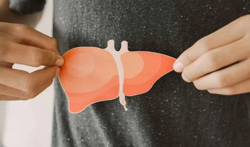 fatty-liver-1_V_jpg--816x480-4g
