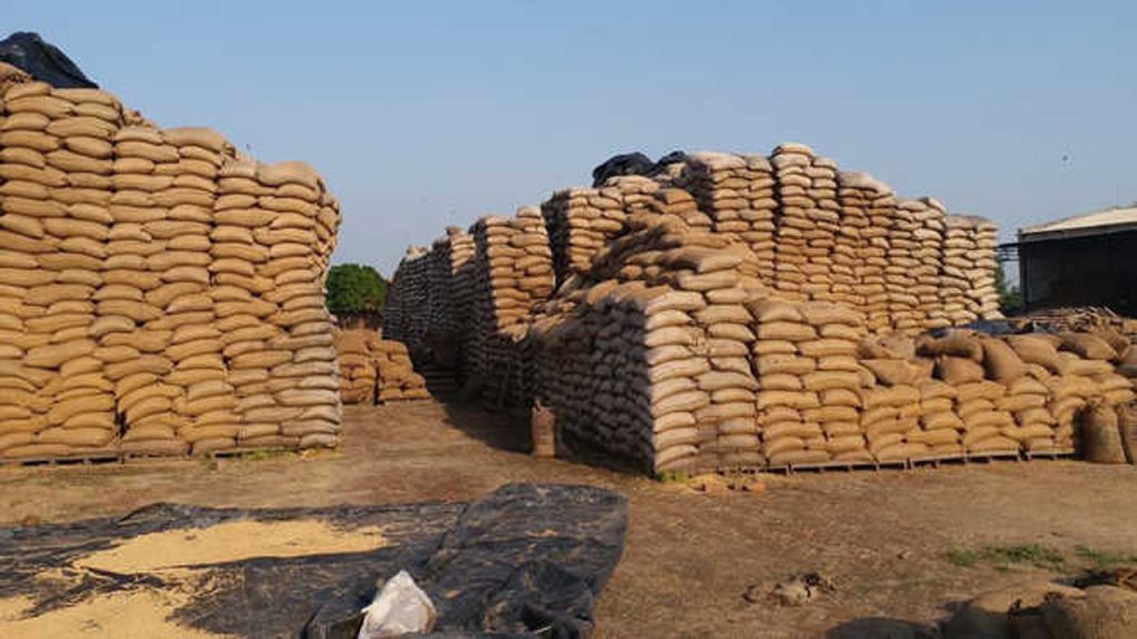 rice1_34cc2c7ab9