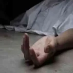 DEAD-2_V_jpg--816x480-3g