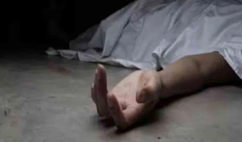 DEAD-2_V_jpg--816x480-3g