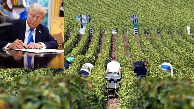 Trump_wine_famers_ae017ab51f_V_jpg--625x351-4g