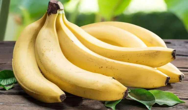 banana_V_jpg--816x480-4g